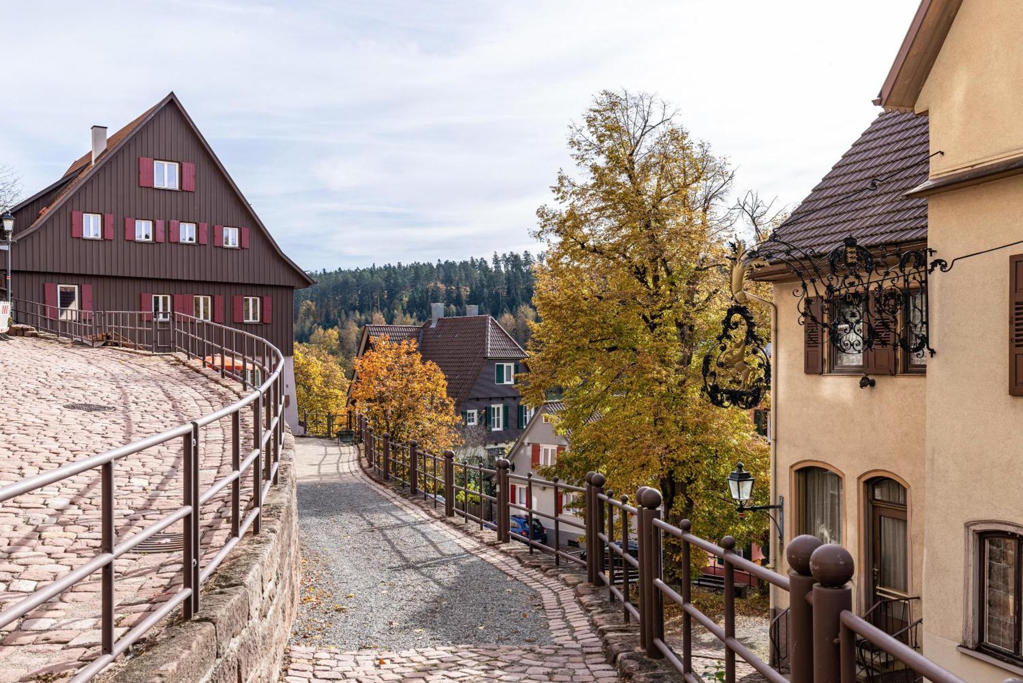 Ferienwohnungen Metzgerpost Altensteig Exterior foto